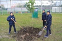 Юные футболисты ФК «Алмаз – Антей» приняли участие в озеленении территории вдоль проспекта Обуховской Обороны, посадив двадцать четыре клёна.