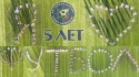В честь первого юбилея клуба футболисты ФК "Алмаз-Антей" решили сделать вот такой памятный коллаж